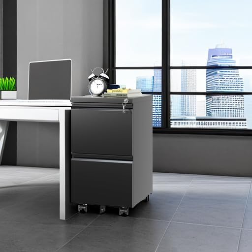 2 Drawer Mobile File Cabinet Under Desk Metal Filing Cabinet Vertical File Cabinet with Lock Office Rolling Storage Cabinets for Legal/Letter/A4 File Fully Assembled Except Wheels