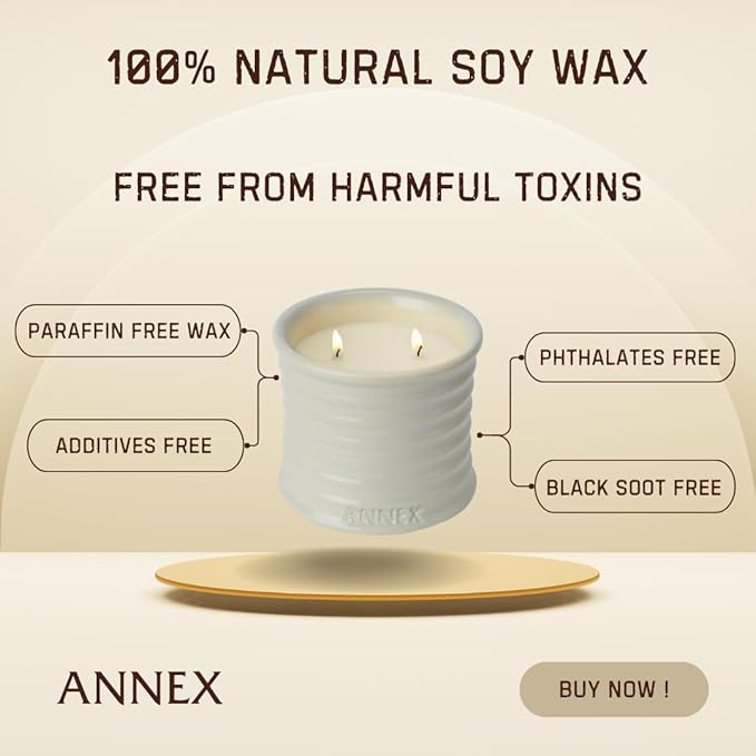 Scented Luxury Citronella Candles outdoor, Mosquito Bug Repellent | Handmade Ceramic Jars, Soy Wax | Cloudy Pillow - Fig Leaf & Lemon, Large Natural Candle | Non Toxic, 2 Wicks, Reusable Big Beige Jar