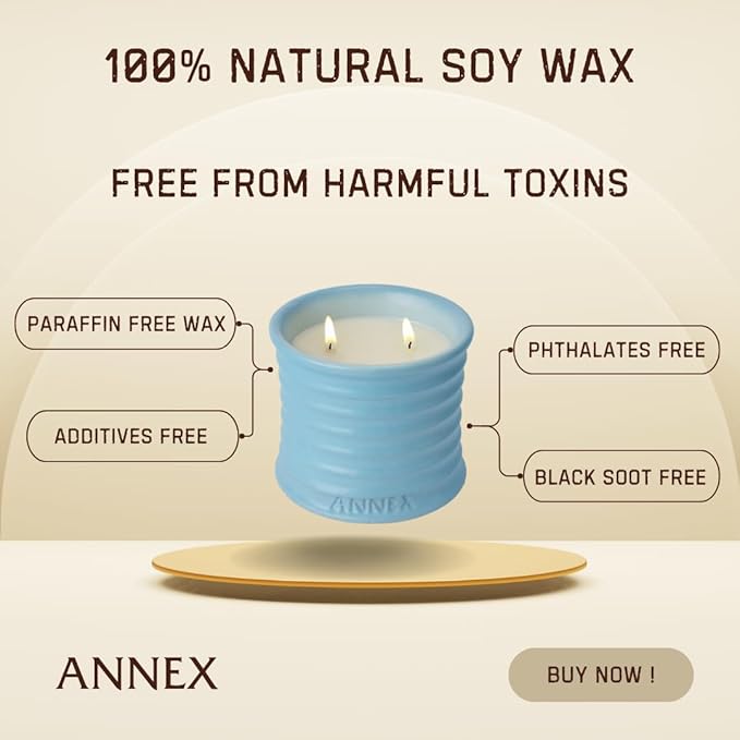 Scented Luxury Candles in Handmade Ceramic Jars, Soy Wax | Day On The Sea – Cypress & Cedar, Large Candle | Non Toxic, 2 Wicks, Reusable Big Blue Jar | Natural Spring Aromatherapy for Women & Men