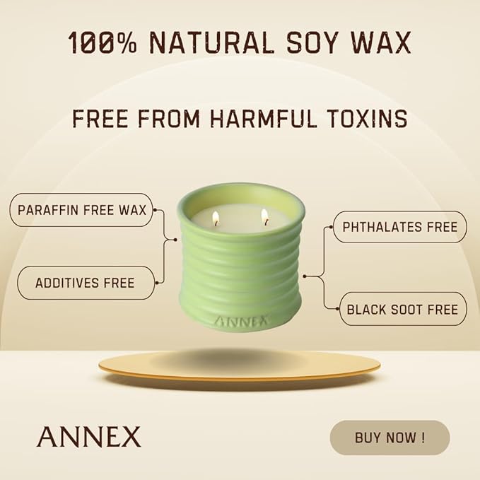 Scented Luxury Candles Outdoor Mosquito Bug Repellent Ceramic Jars, Soy Wax | The Green Life, Large Natural Candle - Green Melon & Peppermint | Non Toxic, 2 Wicks, Reusable Jar
