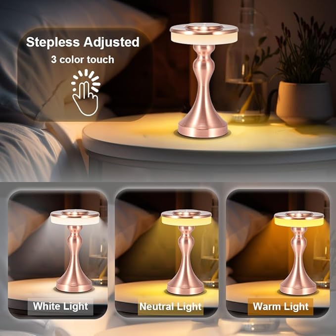 Portable Metal LED Table Lamp,Cordless Battery Table Lamp,3 Color Touch Control Rechargeable Desk Lamp,3-Levels Brightness Bedside Battery Lamp,Night Light for Kids Nursery,Dining Room Lamp