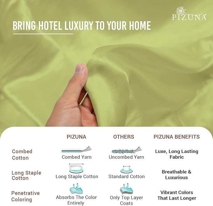 Pizuna Pure 100% Cotton Queen Duvet Cover Set, Luxurious 400 Thread Count Long Staple Cotton Sateen Weave with Button Closure (Combed Light Green Cotton Duvet Cover Queen)
