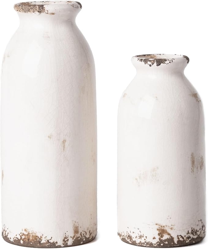 VICTOR & TERESA White Ceramic Vases Home Decor, Farmhouse Vase for Flowers, Flower Vase Set of 2, Rustic Decorative Vases for Pampas Grass, Table, Living Room, Shelf, Centerpieces, 8 inch
