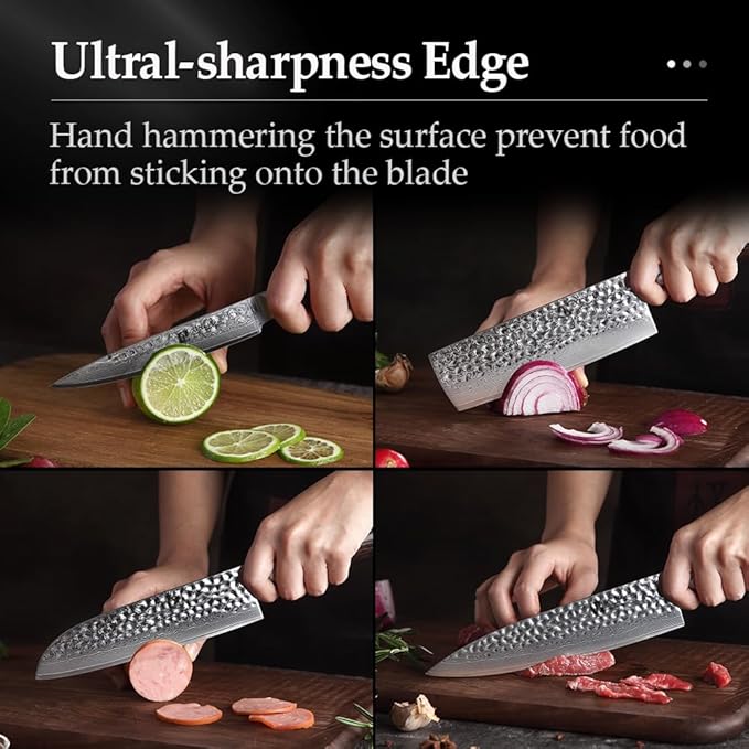 XINZUO Kitchen Knife Set of 5 Piece,67 Layers Hammered Damascus Blade,Japanese-Style Chef Knife Set,Professional Knife Sets for Chefs with Pakkawood Handle,Razor Sharp,Gift Box - He Series