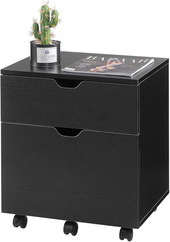 HollyHOME File Cabinet, 2 Drawers Filing Cabinet for Home Office, with Wheels, for A4, Letter Sized Documents, Hanging File Folders,Black