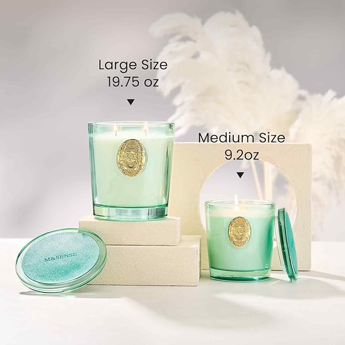 M&SENSE Large Two-Wick Aromatherapy Soy Candle | Eucalyptus Mint & Blue | 19.8 oz, 120H Burn Time | Luxury Scented Candle for Relaxation, Gifting, Home Décor | Ideal for Bedroom, Office