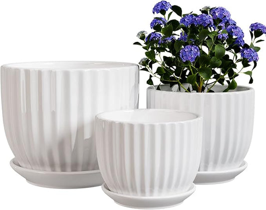 Ton Sin White Plant Pots Set of 3,Indoor Ceramic Flower Pot with Saucers,6.7"&5.5"&3.9" Inch Small to Medium Sized Planters for Plants,Round Modern Garden Pots