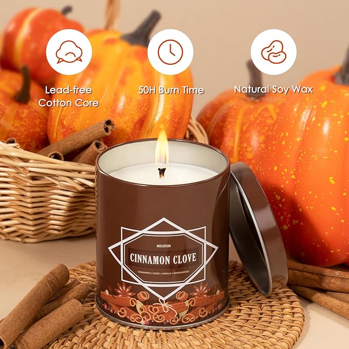 Fall Scented Candle ā Cinnamon Clove Soy Candle 9oz, 50 Hour Burn, Non-Toxic Autumn Decor, Holiday Gift for Women & Men