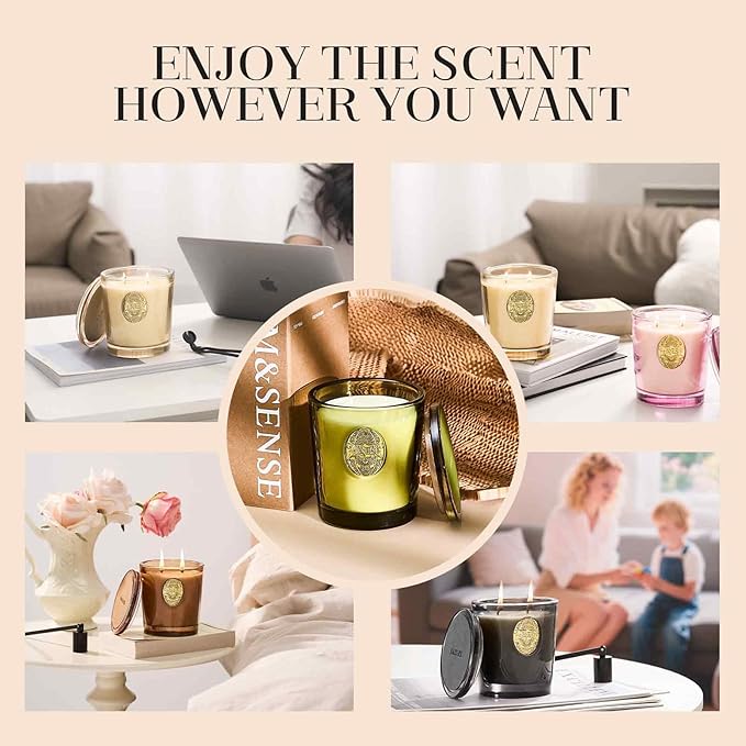 M&SENSE Large Two-Wick Soy Candle | Seattle Rainforest & Matcha Green |19.8 oz, 120H Burn Time | Luxury Scented Candle for Relaxation, Gifting, Home Décor | Ideal for Bedroom, Office, Party Ambiance