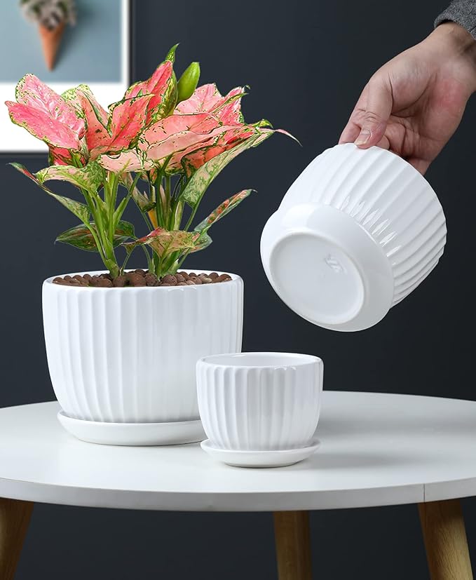 Ton Sin White Plant Pots Set of 3,Indoor Ceramic Flower Pot with Saucers,6.7"&5.5"&3.9" Inch Small to Medium Sized Planters for Plants,Round Modern Garden Pots