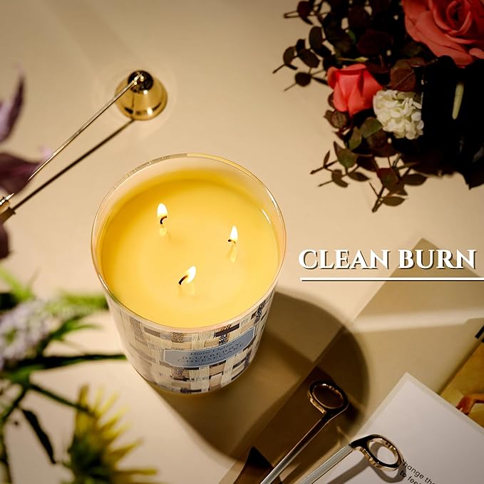 HomeLights Scented Candles for Women & Men, 34oz Candle Jars Aromatherapy 3-Wick Candle, Ideal for Rustic Modern Home Decor and Gifts, Blueberry Cheesecake