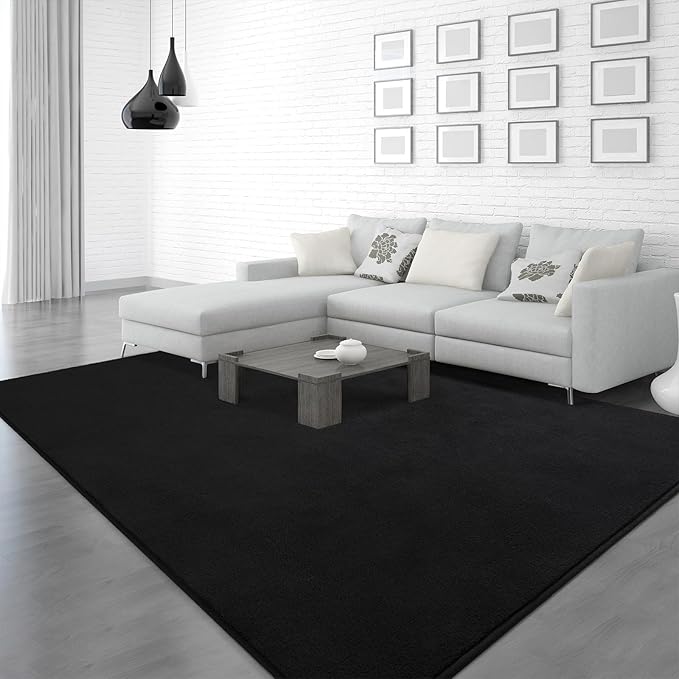 Soft Rugs for Living Room 4x6 Black, Minimalist Area Rug for Bedroom Nursery Dining Table Dorm, Throw Rugs for Men Boys Girls Kids Room Indoor Floor Carpets