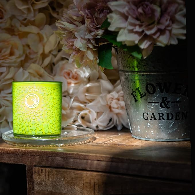 GYV Scented Jar Candle (10 oz) | Coconut Wax with Aromatherapy Grade Natural Oils (Limon)