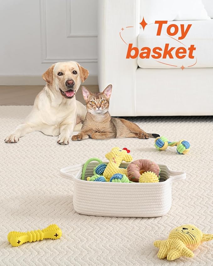 Small Woven Basket, 12 x 8 x 4.5 Inches, Small Storage Baskets for Organizing, Gift Baskets Empty, Cute Rope Shelf Closet Storage Bins for Shelves, Dog Toy Basket, Off White