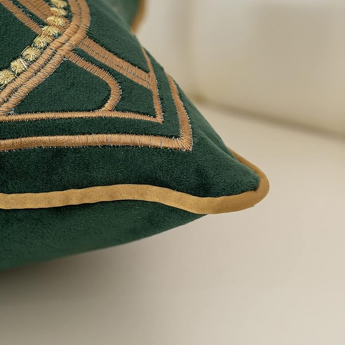 Aeckself European Luxury Velvet Lumbar Throw Pillow Cover 12 x 20 Inch, Embroidery Floral Pillow Cover Home Decor Oblong Pillowcase for Couch Bedroom Living Room, Dark Emerald Green and Gold