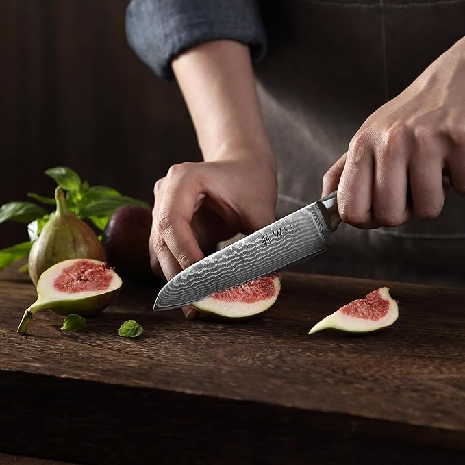 Wakoli Damascus Small Santoku Knife 5-inch - 67-Layer VG10 Core Steel, Razor Sharp Blade with Pakkawood Handle, Multi-Purpose Kitchen Knife for Meat, Vegetables & All Tasks (EDIB)
