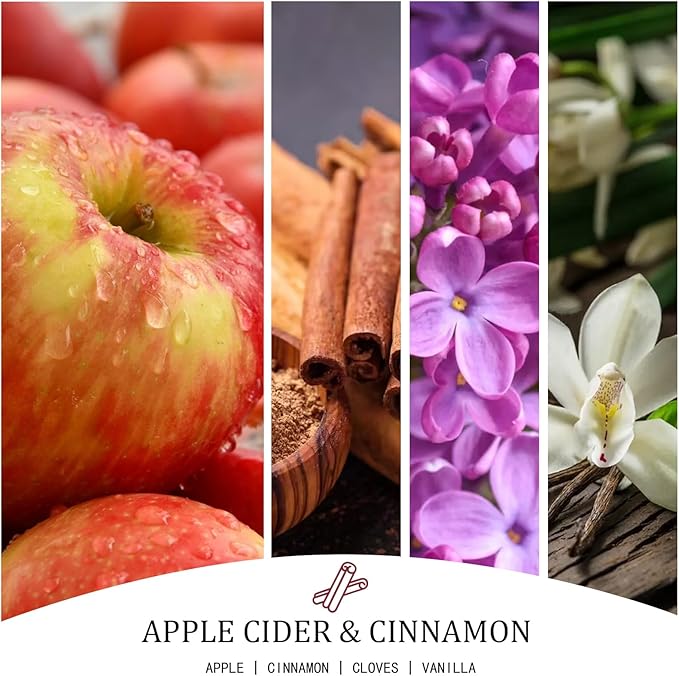 Apple Cider & Cinnamon Candle, Fall Scented Candles, Large 30oz Natural Soy Candles, 4-Wick 80 Hour Burn Time, Autumn Fragrance Candle Gifts for Home Decor