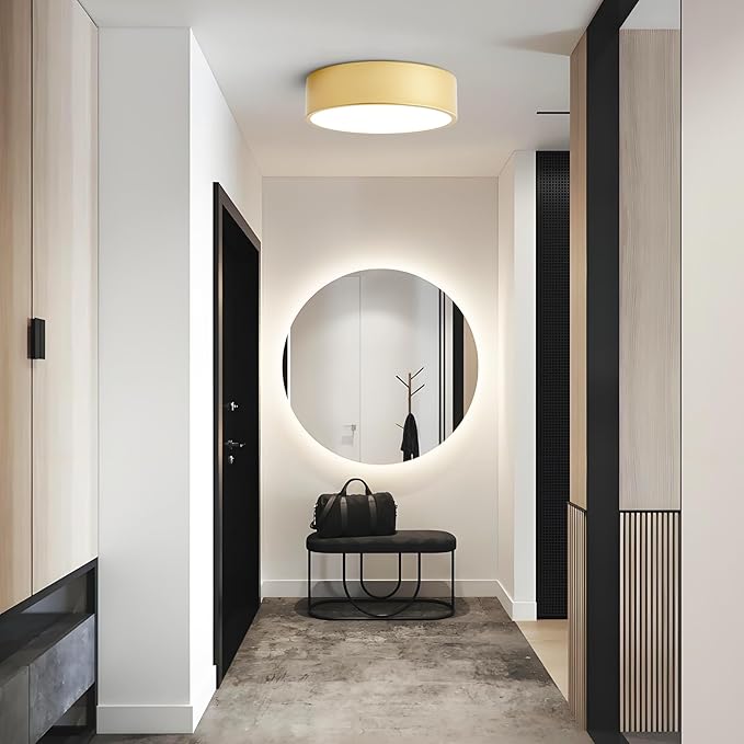 Dimmable Modern Flush Mount Ceiling Light Fixture,Painted Gold Round LED Ceiling Lights Fixtures,5CCT 2700K-6000K Lighting for Kitchen Hallway Bedroom Laundry Room Entryway Closet 11.81 inch