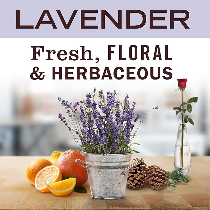 Lavender Aromatherapy Candle 12 oz | 100% All-Natural Soy Wax & Essential Oil Infused | 60+ Hour Burn Time | Pet Safe + Smoke Odor Eliminating | Handmade in U.S.A. | Non-Toxic Candles
