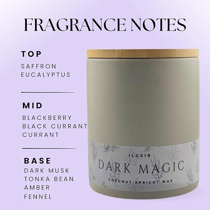 Eucalyptus Amber Musk Scented Candle – Bold Cologne-Inspired Luxury Aroma – Hand-Poured Coconut-Apricot Wax, Long-Lasting Burn, Phthalate-Free (13 oz, Gift Box) – Dark Magic