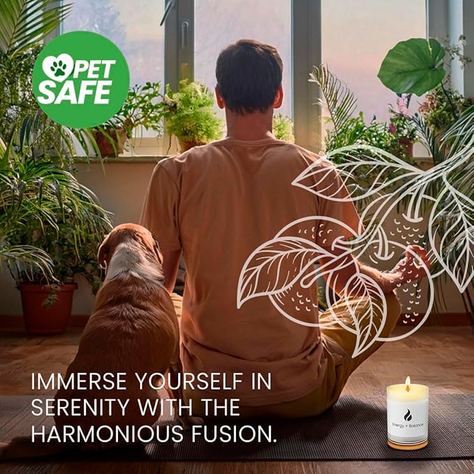 Natur IX Cleansing Scented Candles for Home | Sage & Palo Santo | Natural Non Toxic Soy Candles with Essential Oils | 50 H Long Burning | (Energy + Balance | Bergamot & Sage)