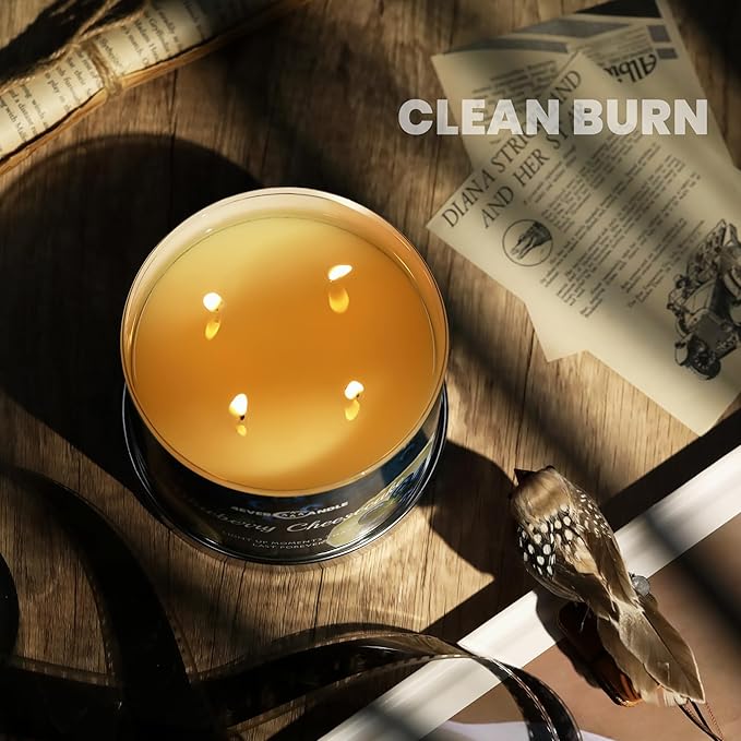 Soy Wax Blend Candle for Home, 4-Wick Candles in Blueberry Cheesecake Scented, Aromatherapy Candles Gift for Parties, Relaxing, Over 50 Hours of Burn Time, 18oz