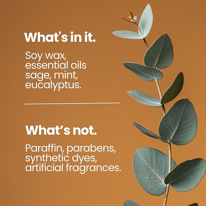 Natur IX Cleansing Scented Candles for Home | Sage & Palo Santo | Natural Non Toxic Soy Candles with Essential Oils | 50 H Long Burning | (Healing | Eucalyptus & Sage)