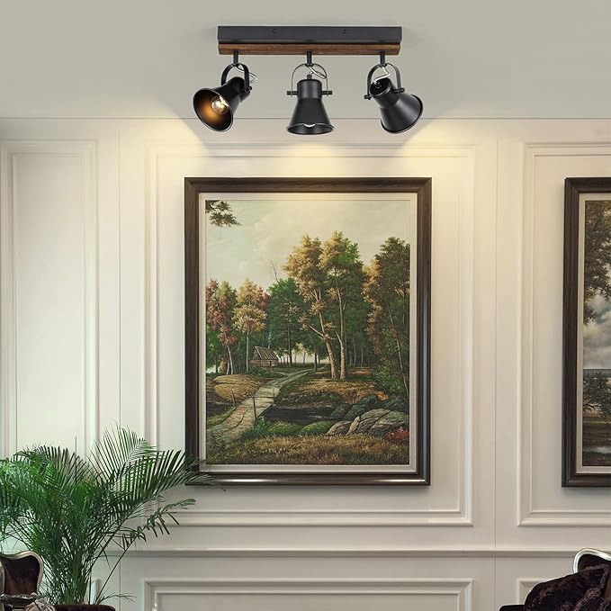 SEEBLEN 3-Light Kitchen Light Fixtures, Adjustable Ceiling/Wall Mount Spotlight, Industrial Black Track Lighting for Living Room, Dining Room, Hallway, Bathroom