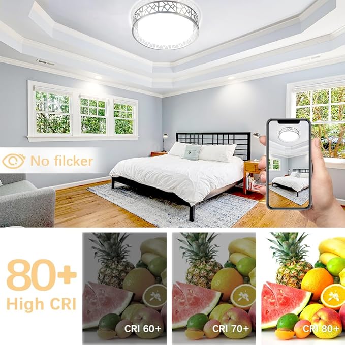 Flush Mount Ceilling Light Fixture with Remote Control, 12 Inch 3000K-6500K LED Ceiling Lights,24W Brushed Nickel Ceiling Light Flush Mount for Bedroom,Hallway,Kitchen,Entrance,Laundry