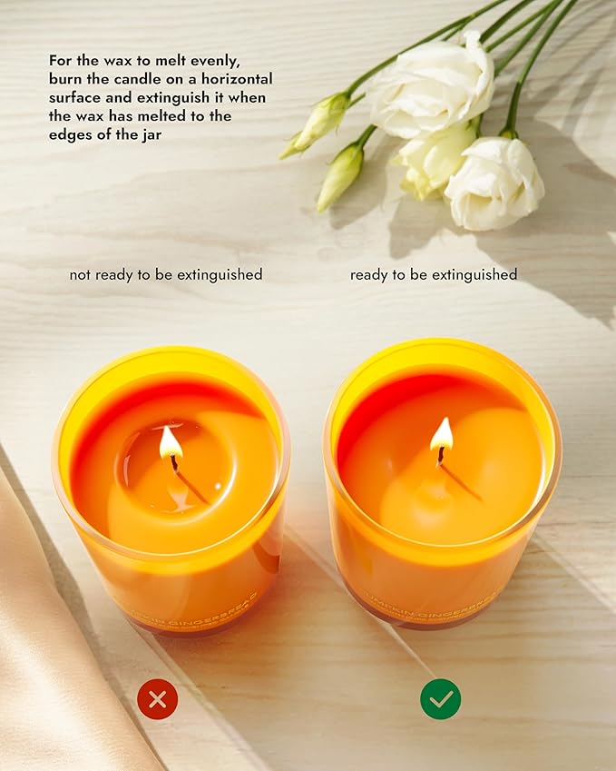 96NORTH | Pure Pumpkin Gingerbread Candle | 100% Natural Soy Wax | 1-Wick Jar Candle | Natural Fragrance Technology | Non Toxic | Up to 35 Hours Burning Time | Aromatherapy Gift for Men and Women