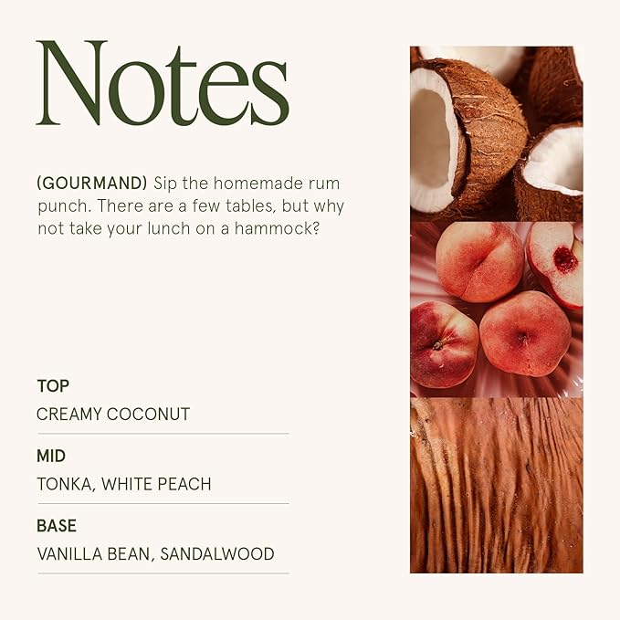 LA JOLIE MUSE Vanilla Coconut Scented Candles, Island Coconut Candles for Home Scented, Luxury Candles Gifts for Women, Natural Soy Wax Candle, 6 oz 40 Hours Burn