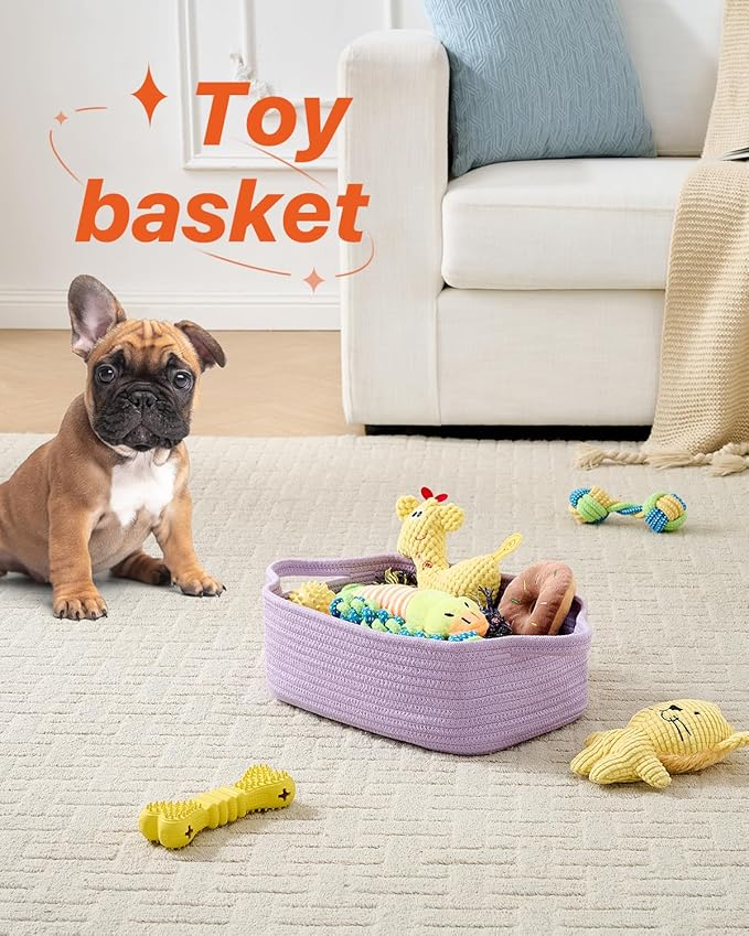 KALLAX Small Woven Basket, 12 x 8 x 4.5 Inches, Small Storage Baskets for Organizing, Gift Baskets Empty, Cute Rope Shelf Closet Storage Bins for Shelves, Dog Toy Basket, Purple