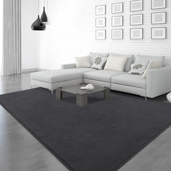 Soft Rugs for Living Room 5x7 Dark Grey, Minimalist Area Rug for Bedroom Nursery Dining Table Dorm, Throw Rugs for Men Boys Girls Kids Room Indoor Floor Carpets