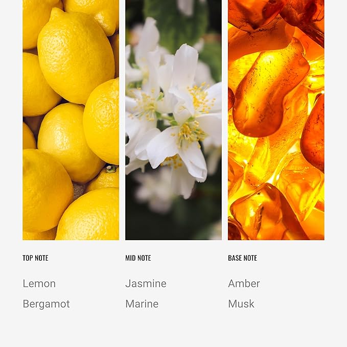 Hotel Collection - Cabana Single Wick Classic Candle - Hotel Inpsired Luxury Candle - 90 - Hours Burn Time - Hints of Marine, Bergamot, and Jasmine - 14 oz - Black