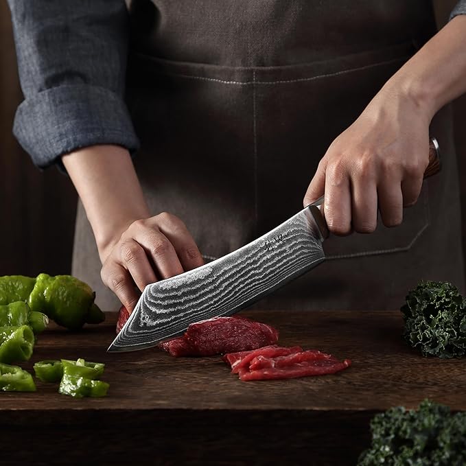 Wakoli EDIB Grill & Butcher Knife 8-inch - 67-Layer Damascus VG10 Core Steel, Professional Chef Knife with Pakkawood Handle, for Meat, Vegetables & Outdoor Grilling in Gift Box