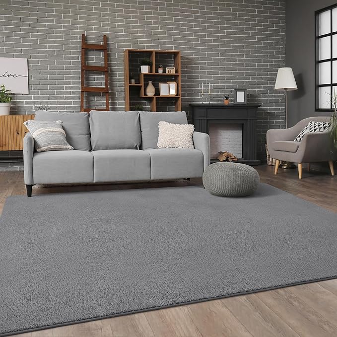 Soft Rugs for Living Room 6x9 Grey, Minimalist Area Rug for Bedroom Nursery Dining Table Dorm, Large Throw Rugs for Men Boys Girls Kids Room Indoor Floor Carpets