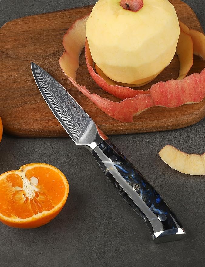 3.5 Inch Paring Knife - Kitchen Fruit Vegetable Knife Damascus Steel & Resin Handle - Xuan Series (Starry Black)