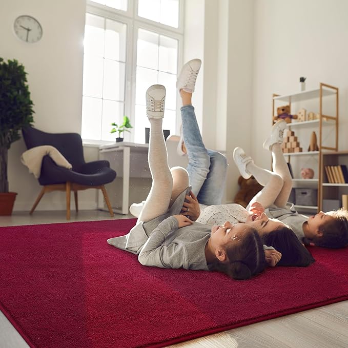 Soft Rugs for Living Room 4x6 Wine Red, Minimalist Area Rug for Bedroom Nursery Dining Table Dorm, Throw Rugs for Men Boys Girls Kids Room Indoor Floor Carpets