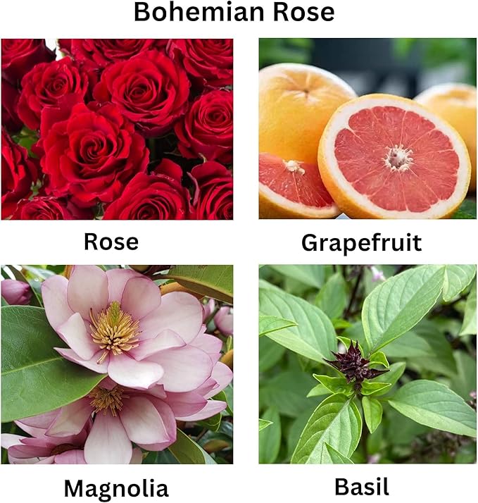 Bohemian Rose Scented Candles – 13 oz Natural Coconut Wax Candle for Home, Office, Relaxation & Gifting – Eco-Friendly, Long Burning Decorative Candle with Luxury Gift Box