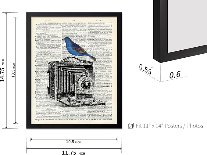 Poster Master Dictionary Art Poster - Antique Camera Print - Bird Art - Photography Art - Gift for Men, Women & Photographer - Chic Decor for Living Room, Bedroom or Office, 11x14 Black Framed