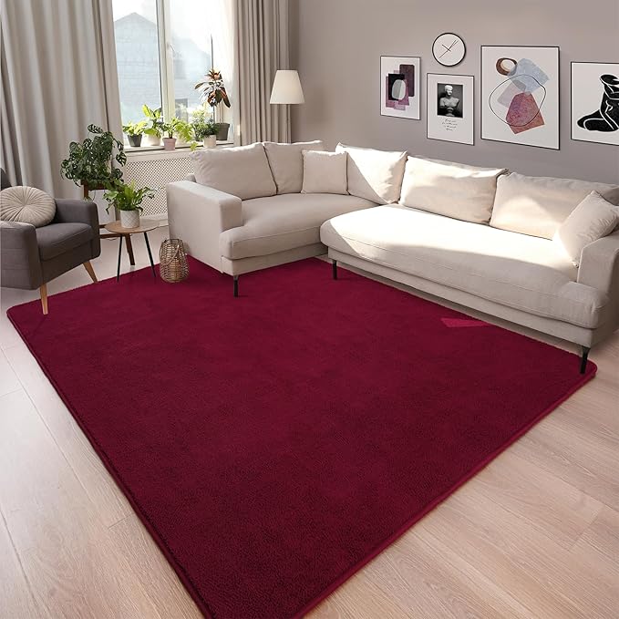 Soft Rugs for Living Room 5x7 Wine Red, Minimalist Area Rug for Bedroom Nursery Dining Table Dorm, Throw Rugs for Men Boys Girls Kids Room Indoor Floor Carpets