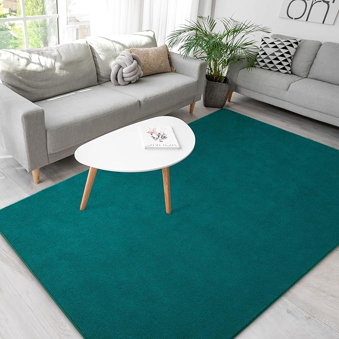 Soft Rugs for Living Room 5x7 Teal Green, Minimalist Area Rug for Bedroom Nursery Dining Table Dorm, Throw Rugs for Men Boys Girls Kids Room Indoor Floor Carpets