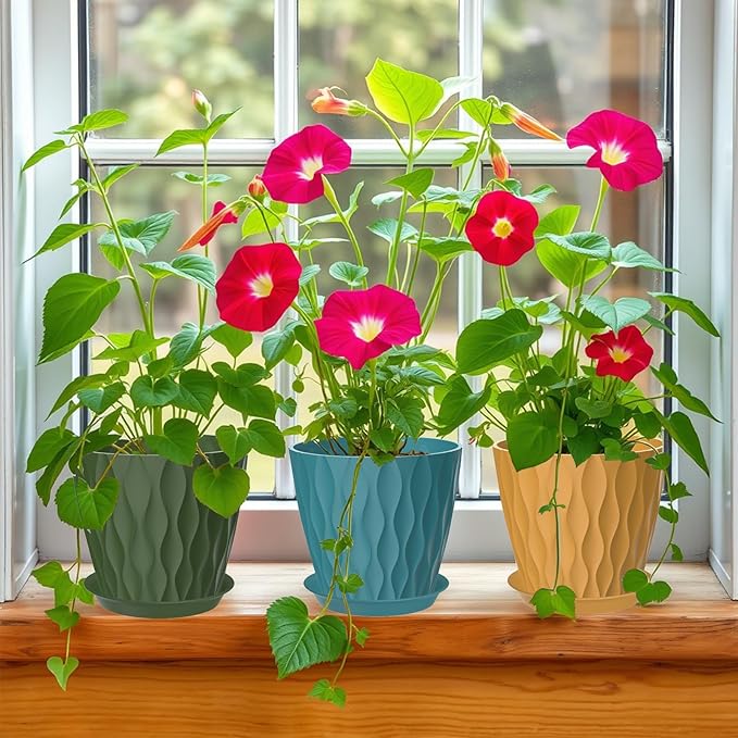 7 Inch Plant Pots Set of 5, Plastic Flower Pots with Drainage Holes and Trays, Planter Pot for Indoor Plants, Decorative Pots for Plants Indoor/Outdoor (Multicolor)