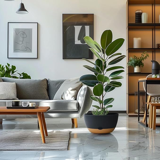 12 Inch Pots for Indoor Plants, Large Self Watering Planters with Drainage and Saucers, Plastic Outdoor Flower Pot, Set of 2, Grey