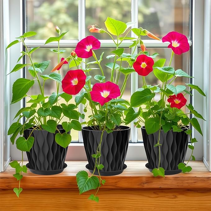 7 Inch Plant Pots Set of 5, Plastic Flower Pots with Drainage Holes and Trays, Planter Pot for Indoor Plants, Decorative Pots for Plants Indoor/Outdoor (Multicolor)