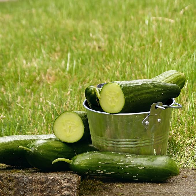 Grease Bucket for Pellet Grill Smokers – 2-Pack Heavy Duty Galvanized Steel Drip Catcher, Rust-Proof 5.6" Diameter, Easy Clean BBQ Accessory