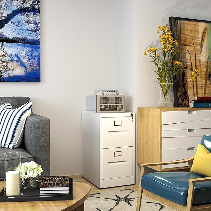 AQY 2 Drawer File Cabinet with Lock,Filing Cabinets for Home Office,Metal File Cabinet 18" Deep Vertical Storage Drawer for Hanging A4/F4/Letter/Legal Size Files, Assembly Require