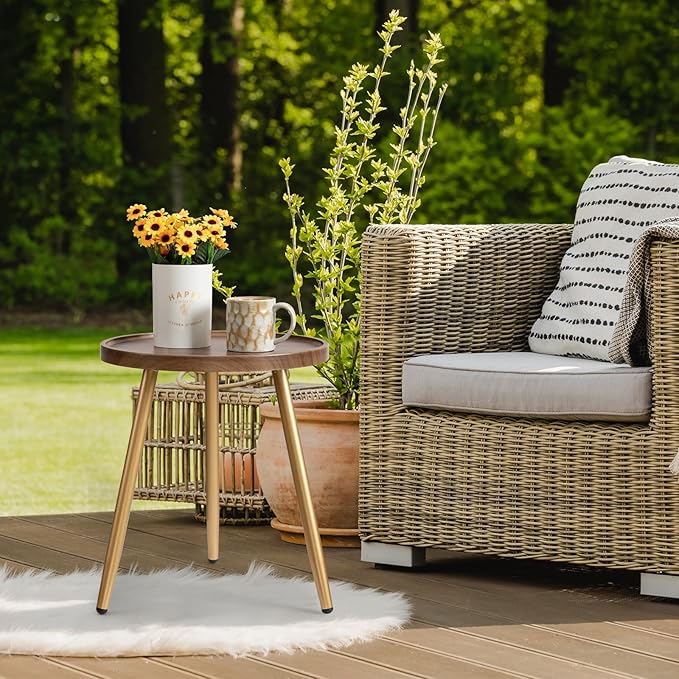 danpinera Round Side Table, Metal Legged Accent Table with Wooden Tray, Small Round End Table for Living Room, Bedroom, Nursery, Brown & Gold