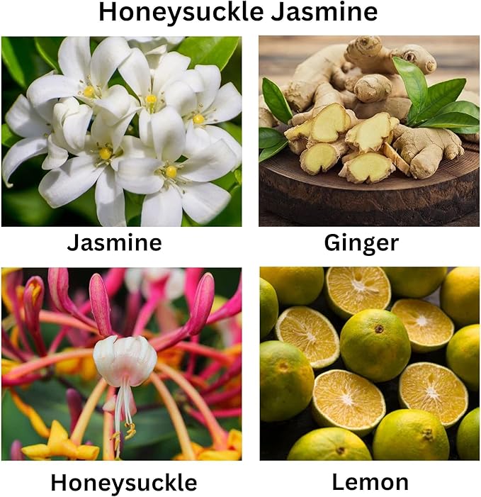 Honeysuckle Jasmine Candle – Fresh Floral Scented Candle with Lemon Violet & Wood, Organic Coconut Apricot Wax, Hand-Poured, Non-Toxic, Cruelty-Free, 5 oz for Home, Living Room & Office