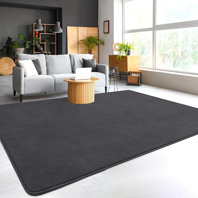 Soft Rugs for Living Room 4x6 Dark Grey, Minimalist Area Rug for Bedroom Nursery Dining Table Dorm, Throw Rugs for Men Boys Girls Kids Room Indoor Floor Carpets